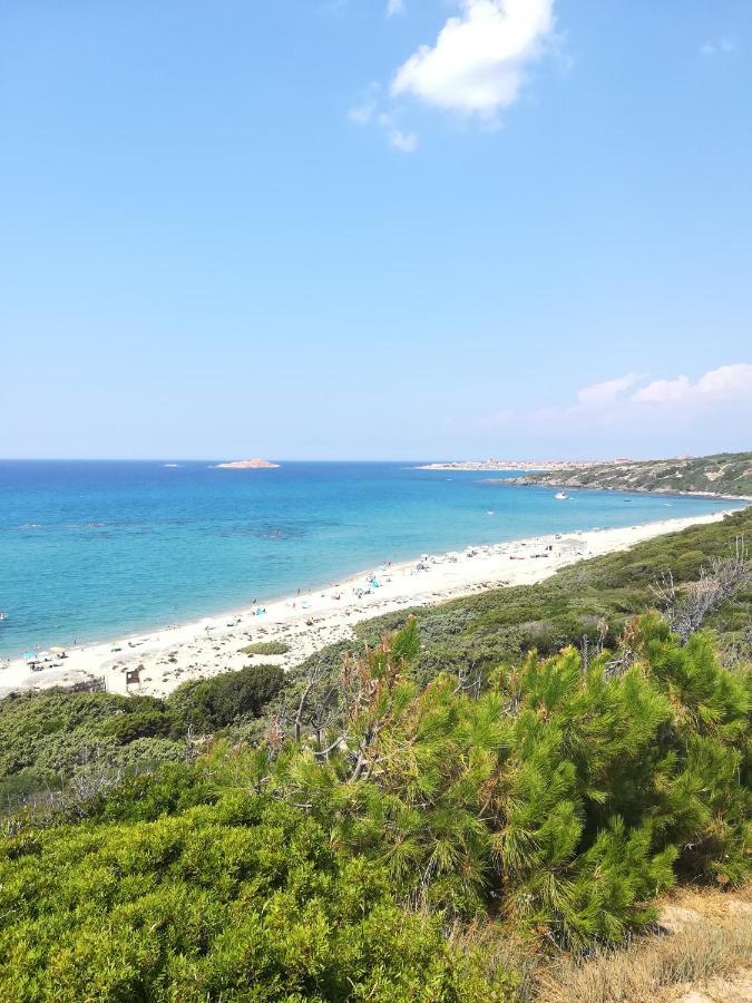 Sea Paradise Apartment Valledoria  Bagian luar foto